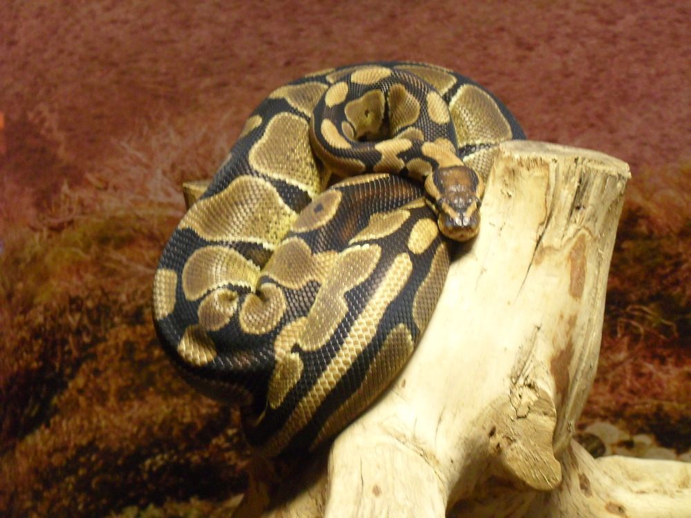 Photograph by Nazgul Usupbekova