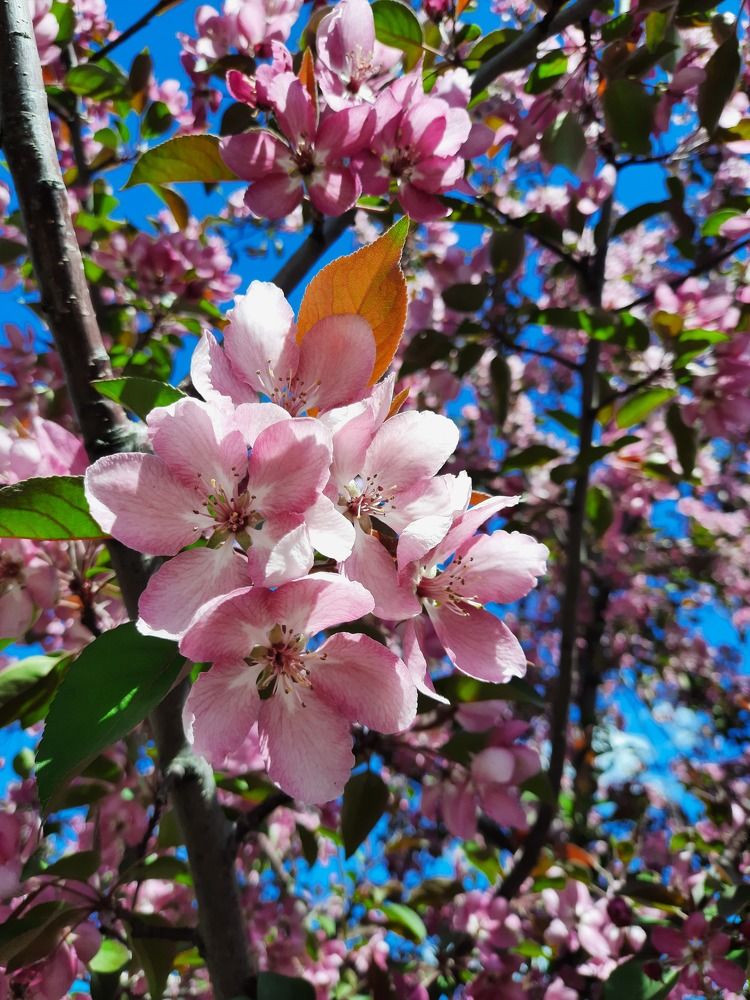 Photograph by Мария Андреева