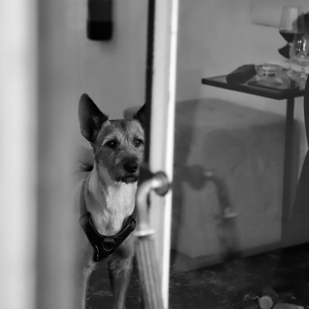 Photograph by Lucas Chagas