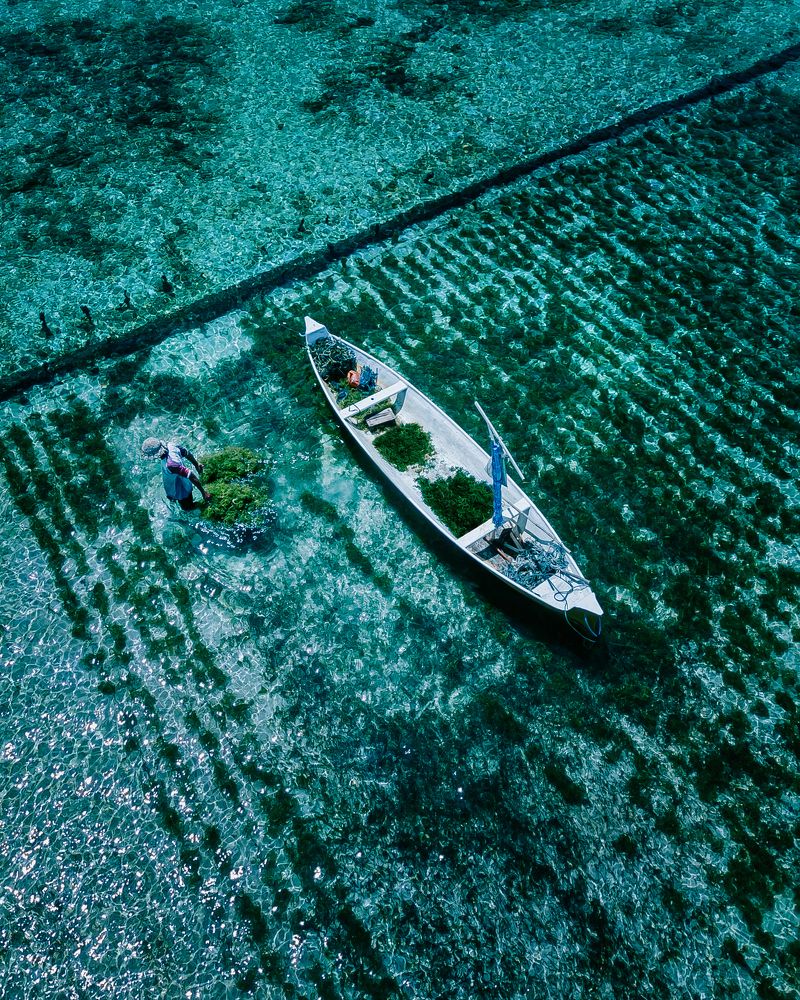 Фотография автора Анастасия Сауль