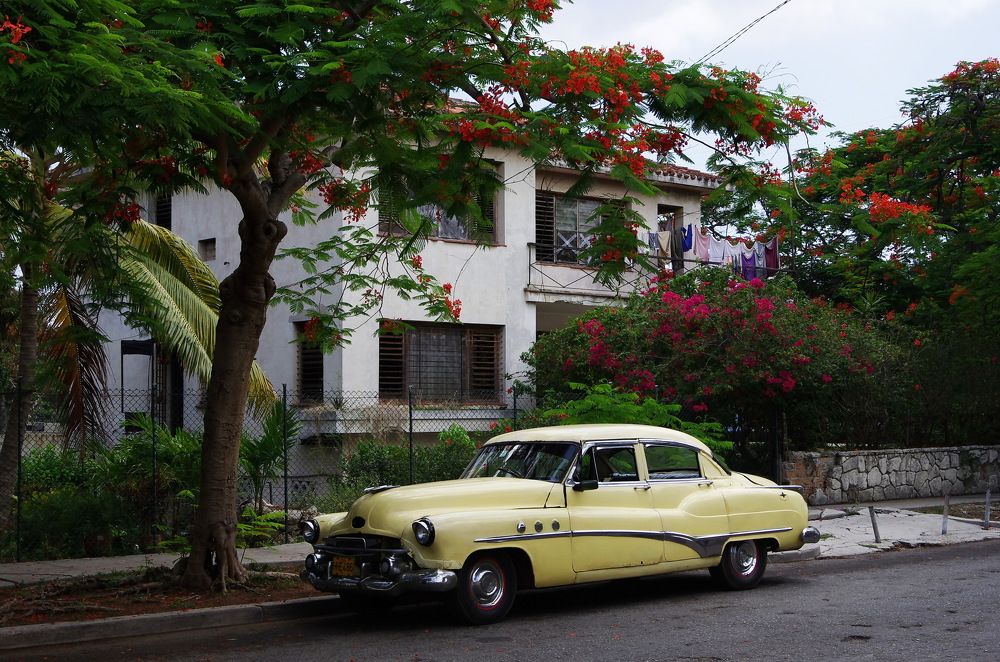 Photograph by Николай Фонарёв