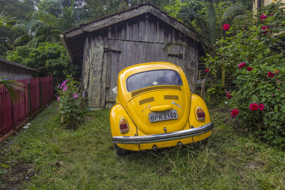 Photograph by Régis Santos