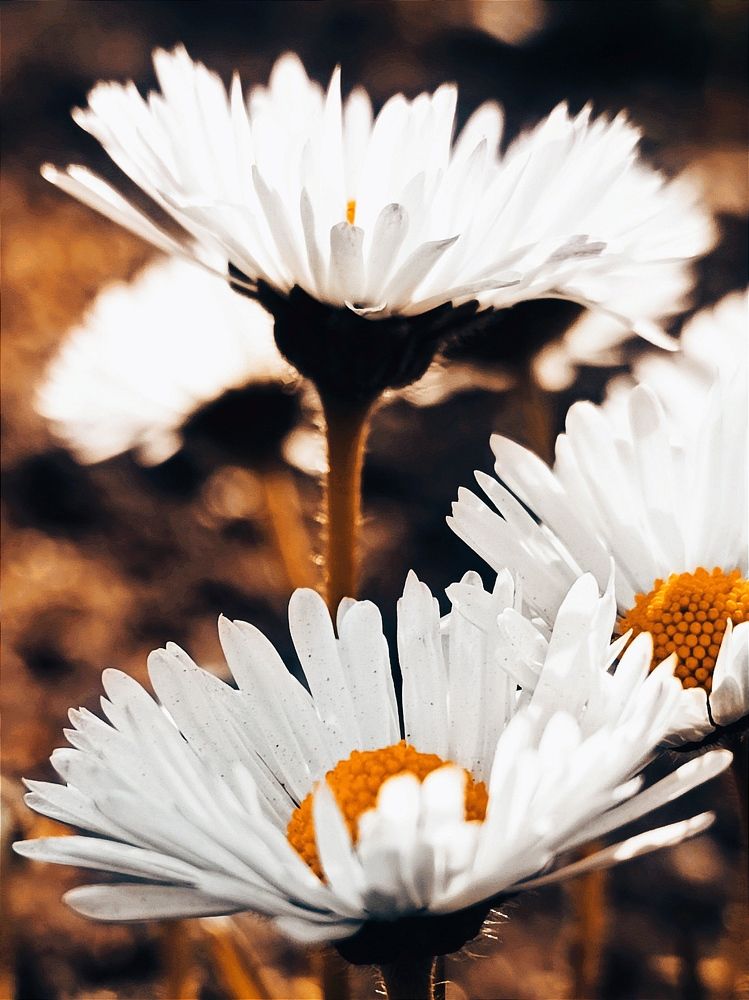 Photograph by Марина Хохрякова