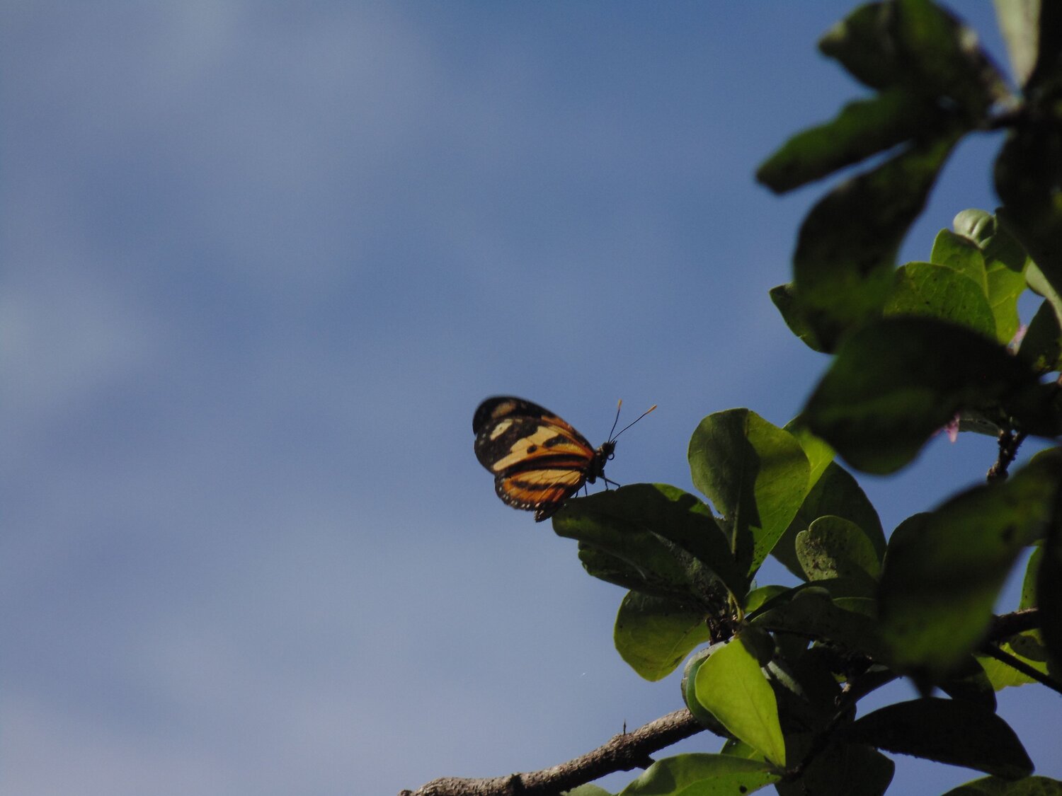 Photo #9120337