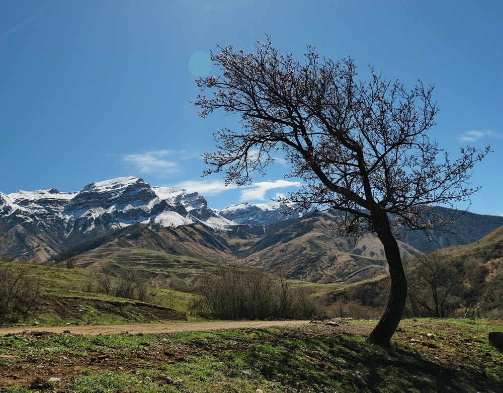 Photograph by Виктор Чернышов