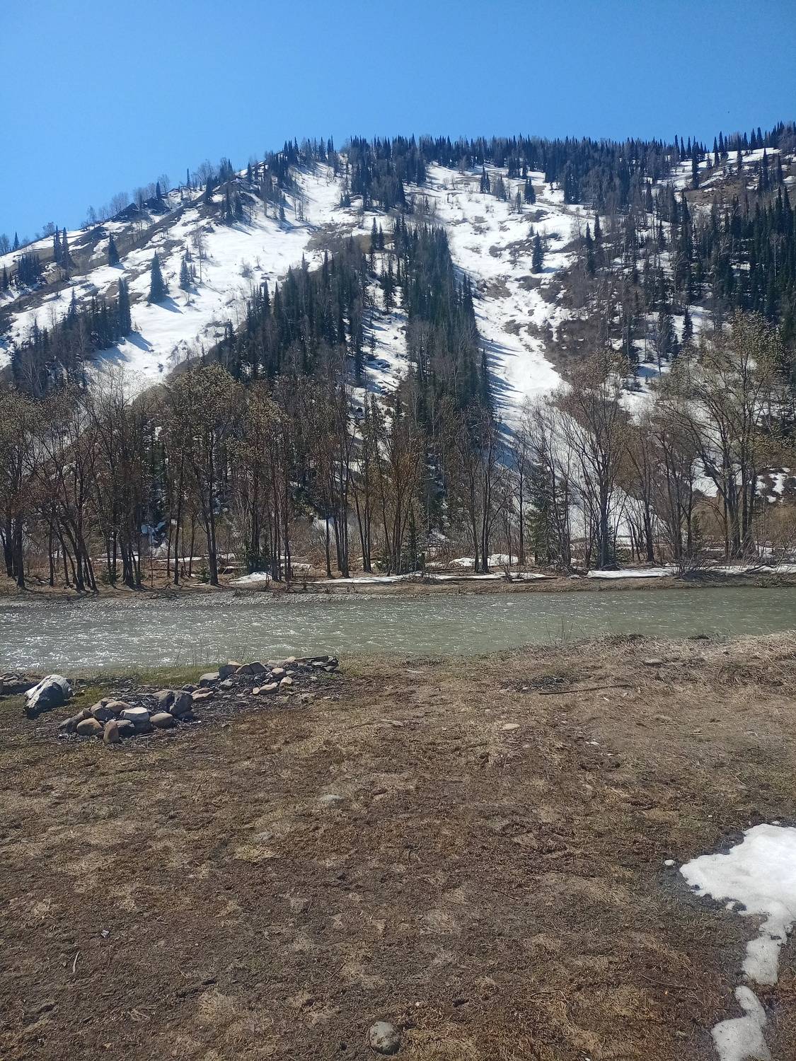 Photo #9120609
