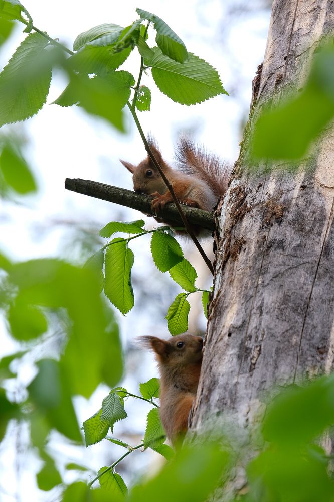 Photograph by Ирина Дегтярева