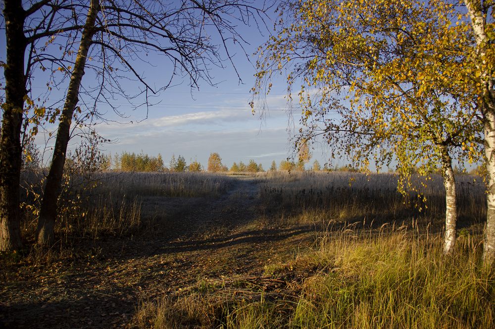 Photograph by Анна Снеговская