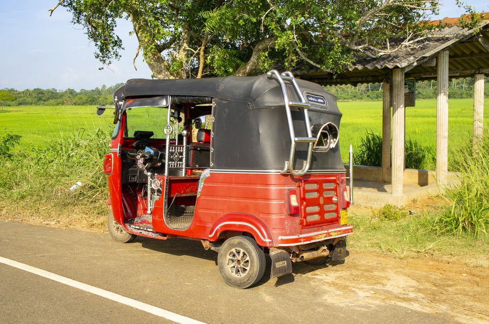 Photograph by Павел Минкевич