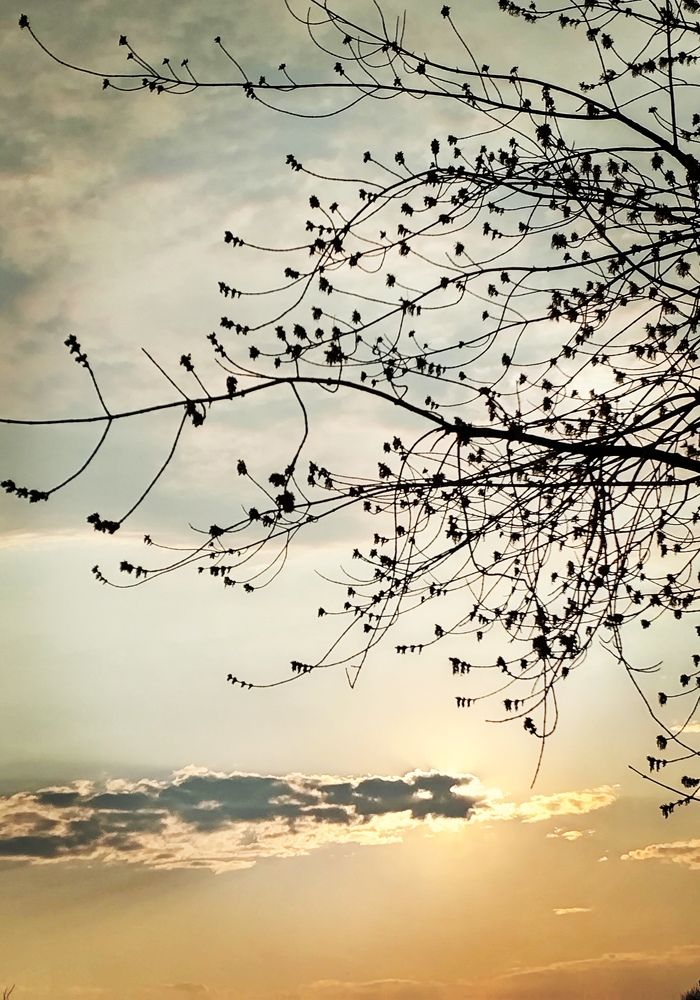 Photograph by Иван Крылов