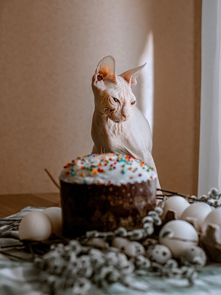 Photograph by Елисавета Бойко