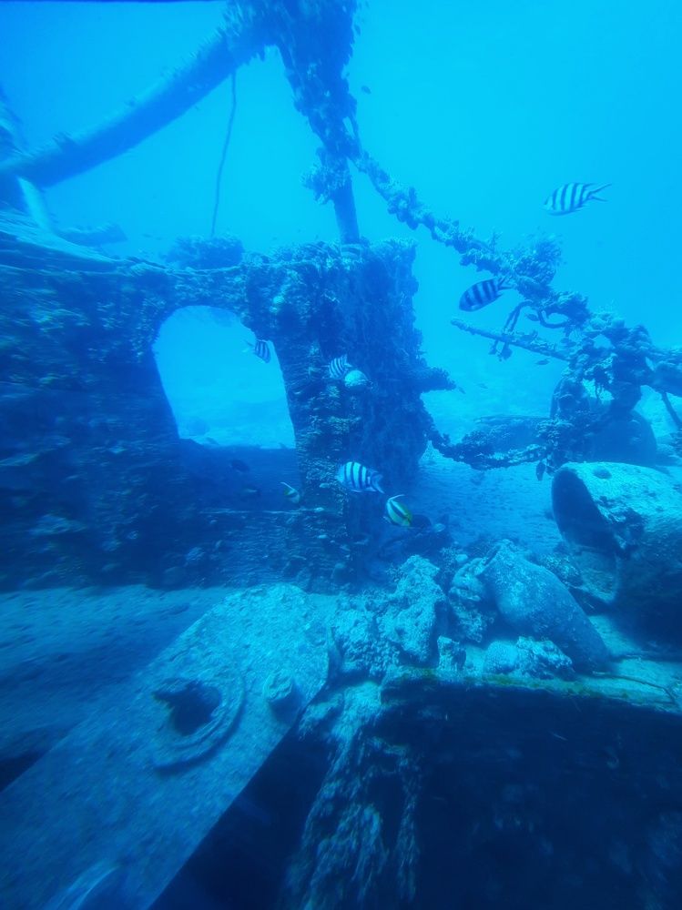 Photograph by Галина Шипухина