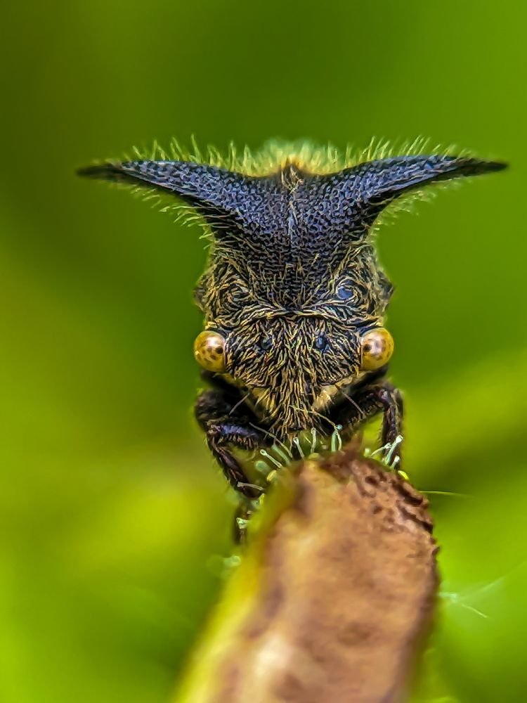 Photograph by ANU K MURALEEDHARAN