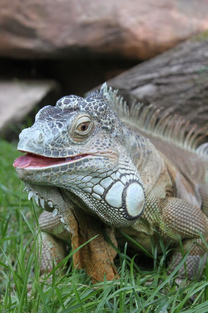 Photograph by Светлана Сафонова