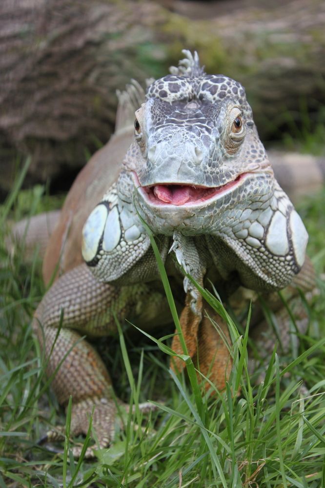 Photograph by Светлана Сафонова