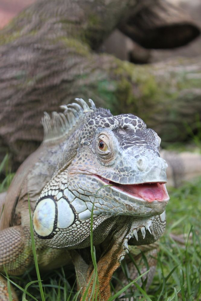 Photograph by Светлана Сафонова