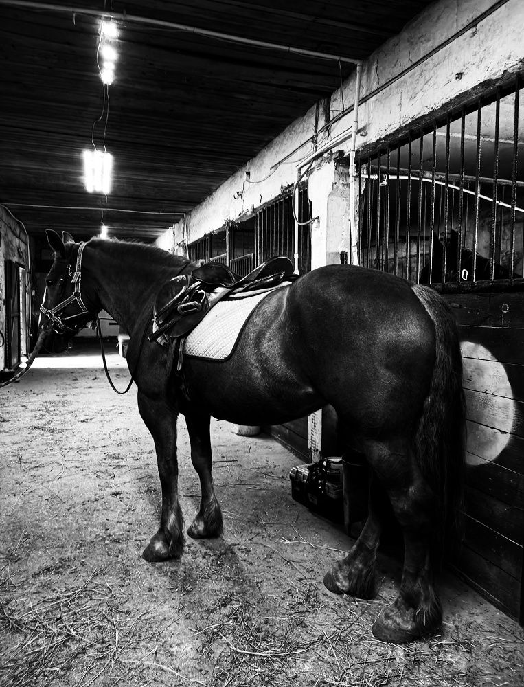 Photograph by Ксения