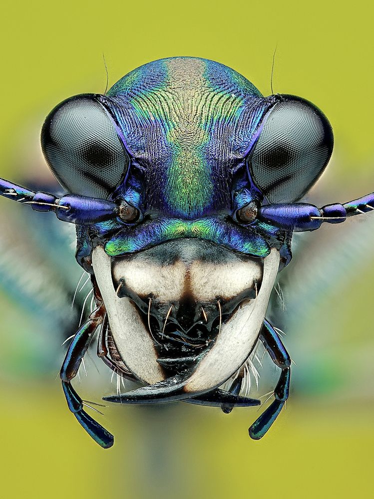 Photograph by Jacob Ng