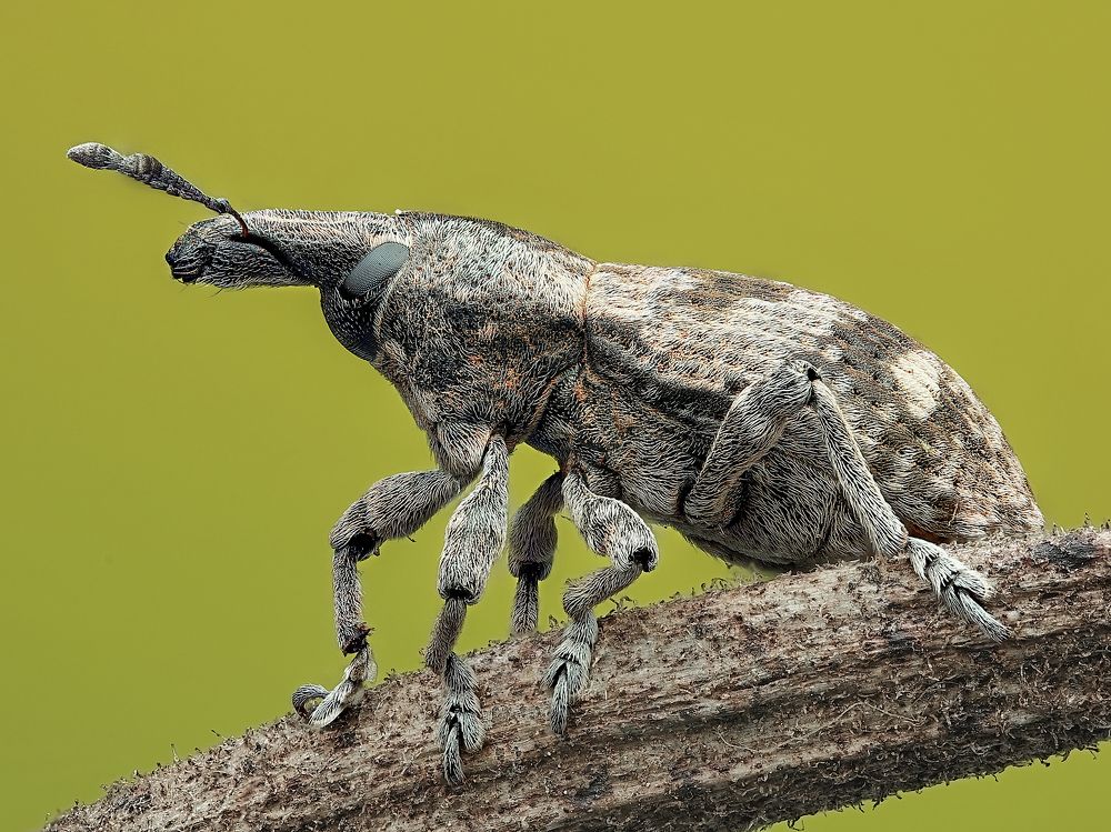 Photograph by Jacob Ng