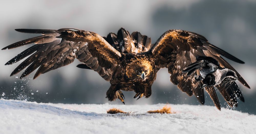 Photograph by Marius Karlsson