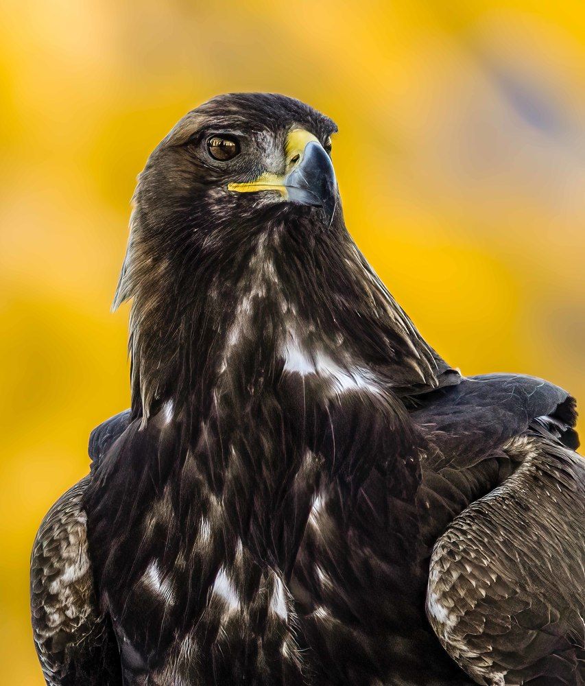 Photograph by Marius Karlsson