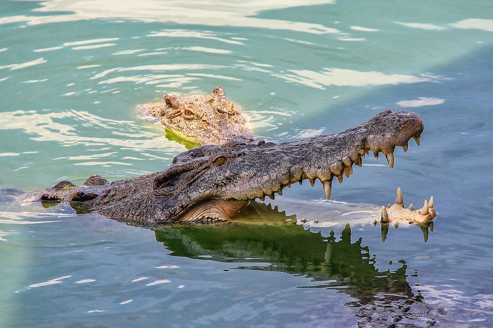 Photograph by Ильдар Гарифуллин