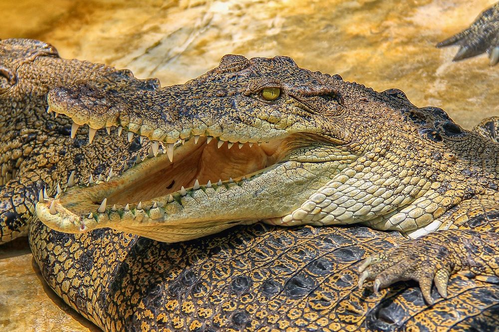 Photograph by Ильдар Гарифуллин