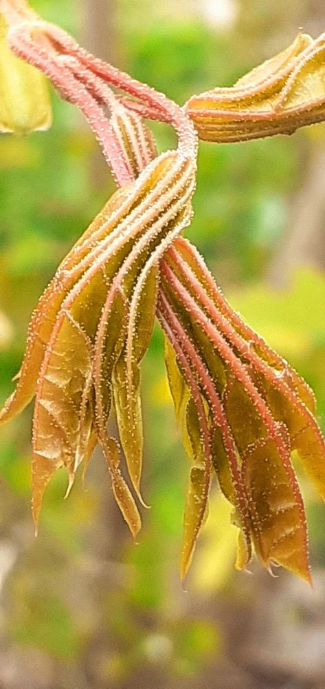 Photograph by Евгения Ульянова