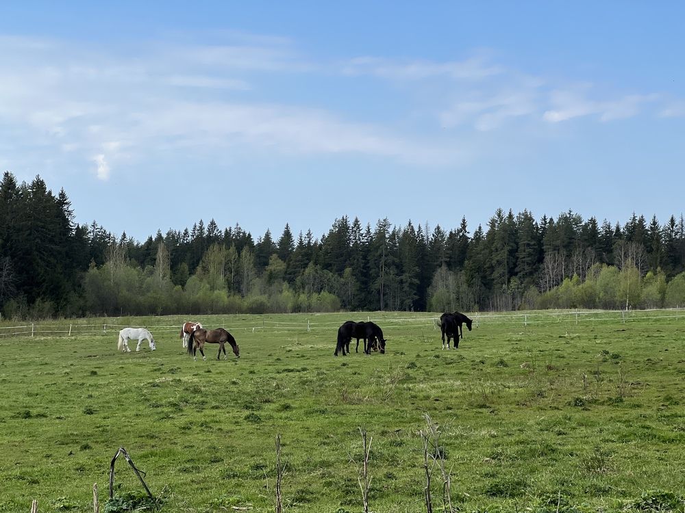 Photograph by Natalia Levenih