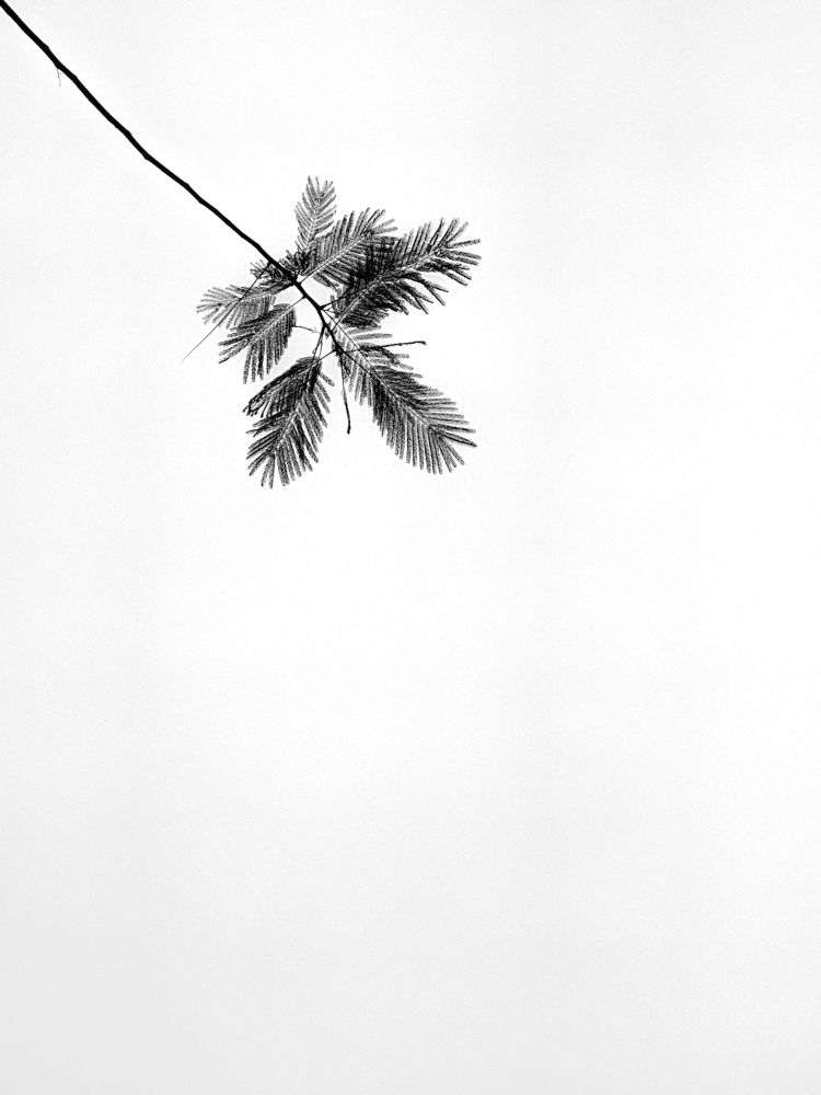 Photograph by Rudranil Manna
