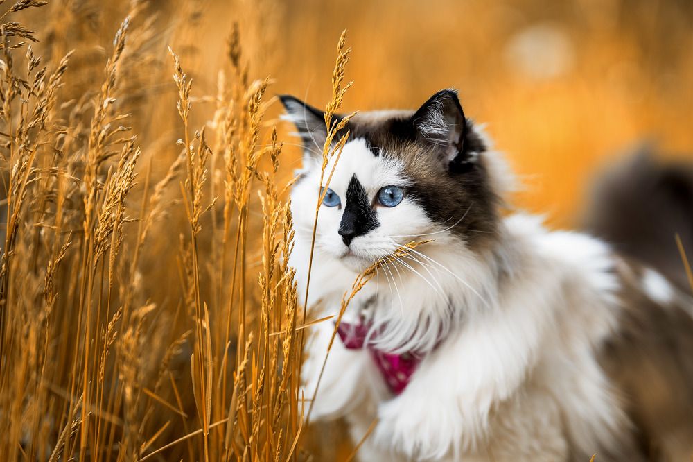 Photograph by Angelika Martko