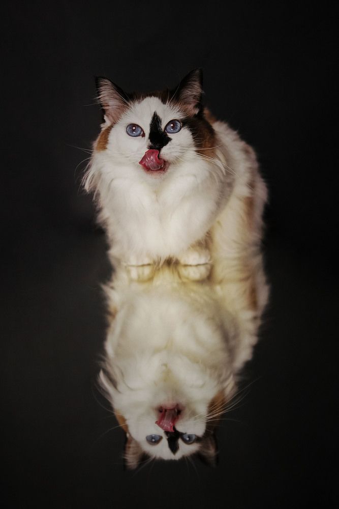 Photograph by Angelika Martko