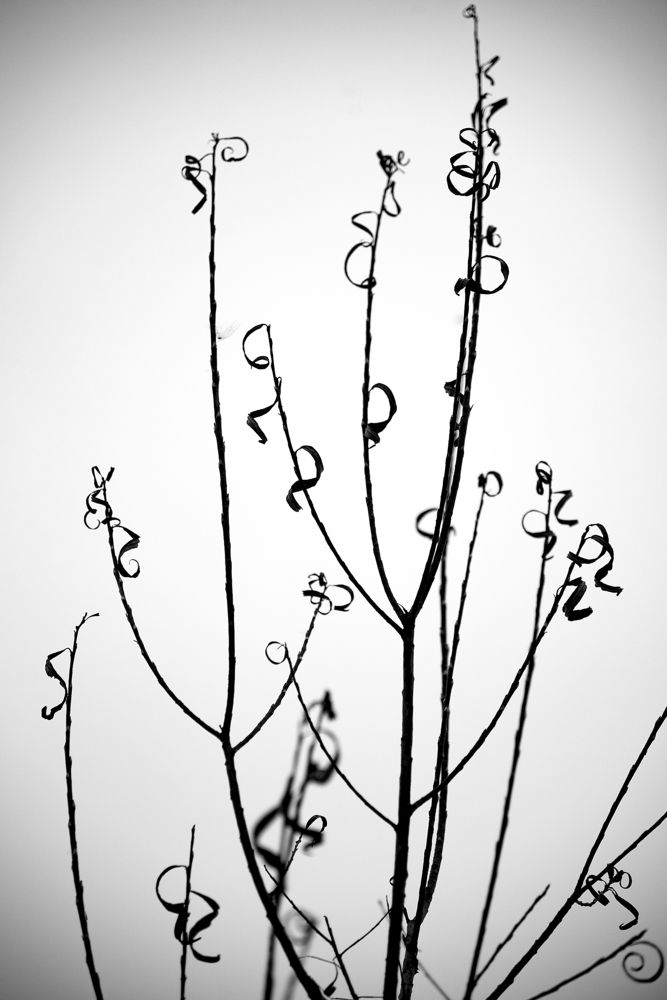 Фотография автора Ирина Осадчая