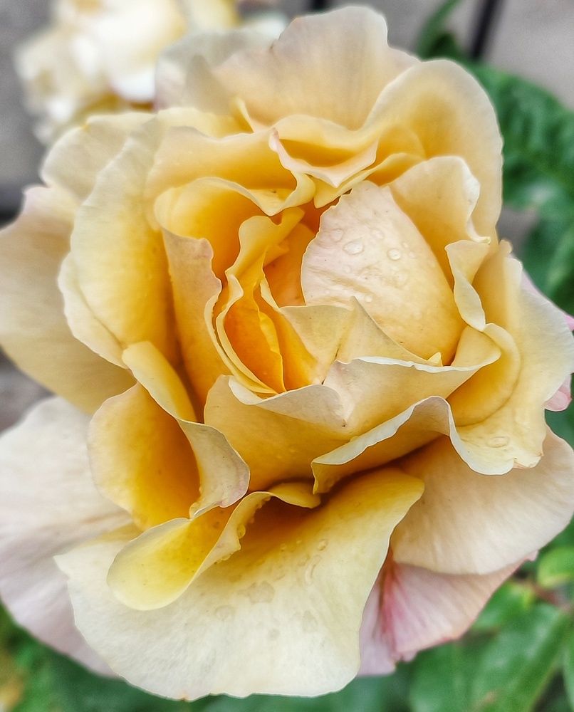 Photograph by Владимир Осипов