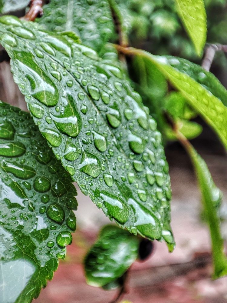 Photograph by Владимир Осипов