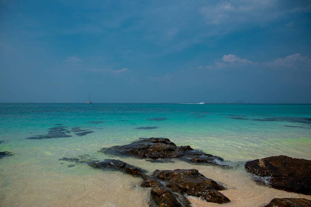 Photograph by Елена Прохорова