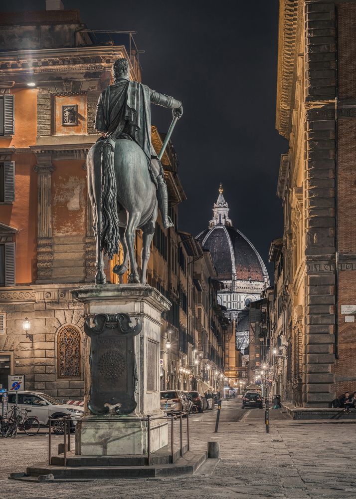 A horse in Florence!