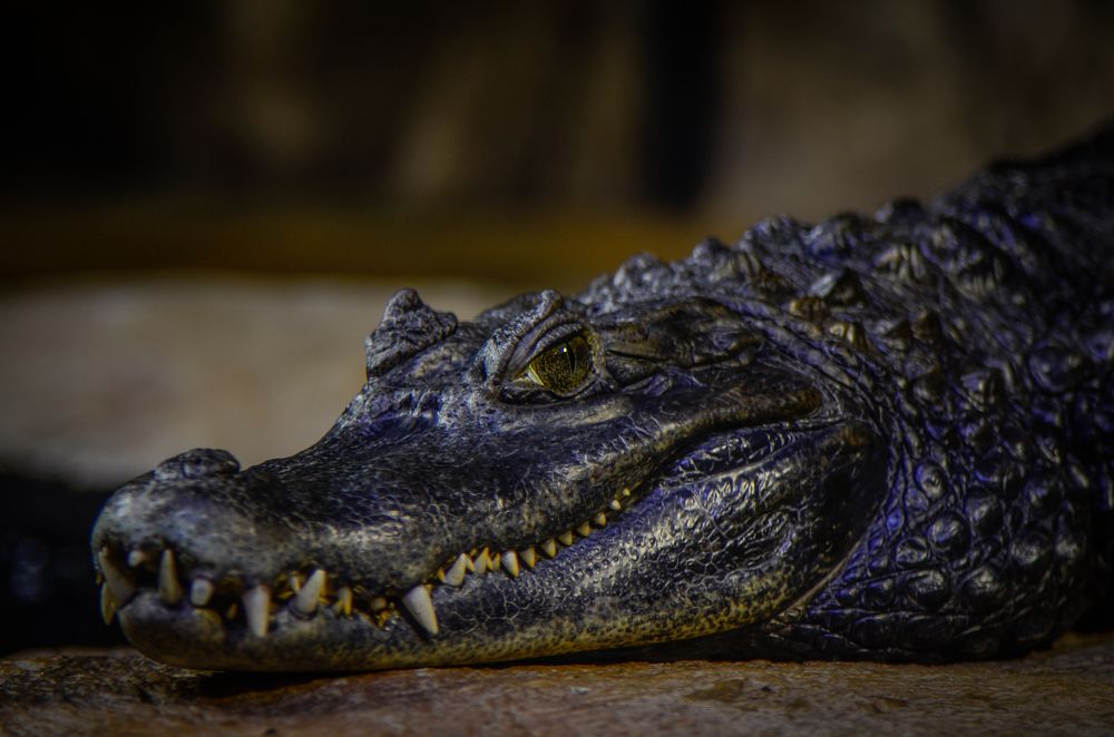 Photograph by Глухарев Сергей