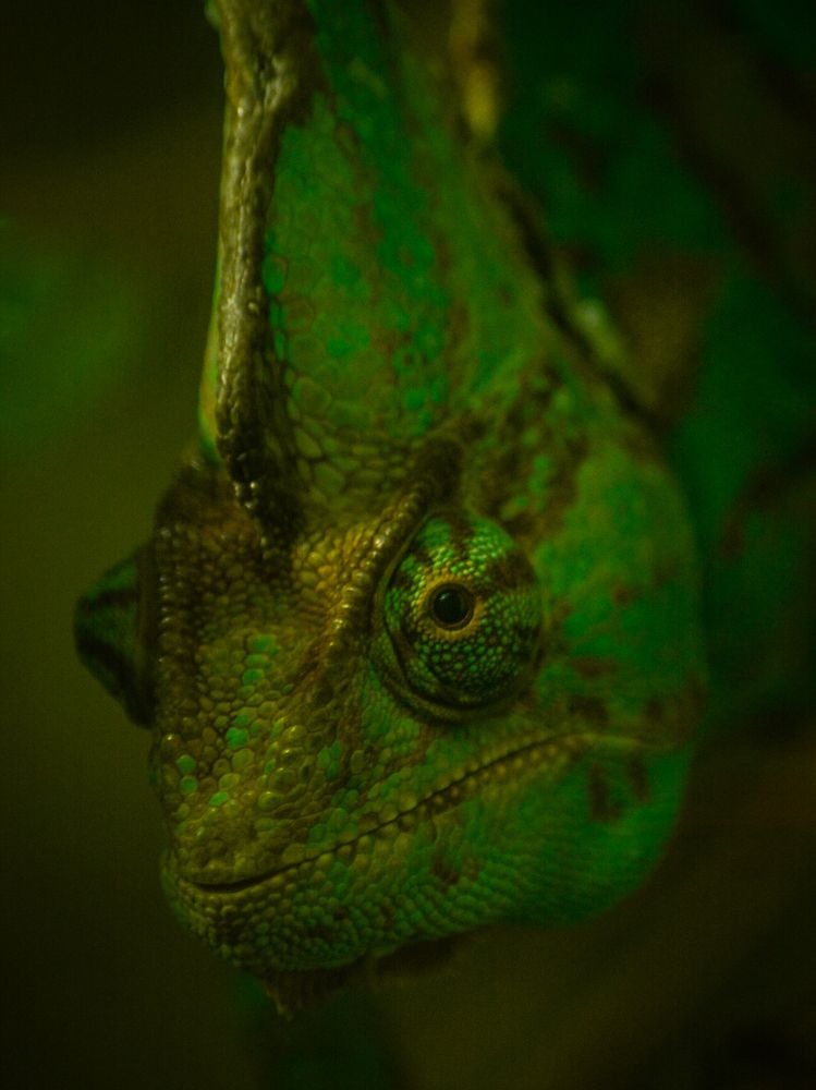 Photograph by Глухарев Сергей