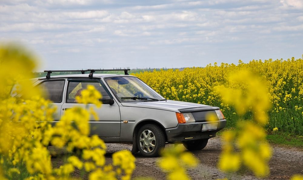 Photograph by Дима Токарев