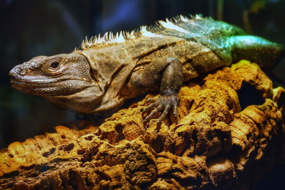 Photograph by Наталия Романова
