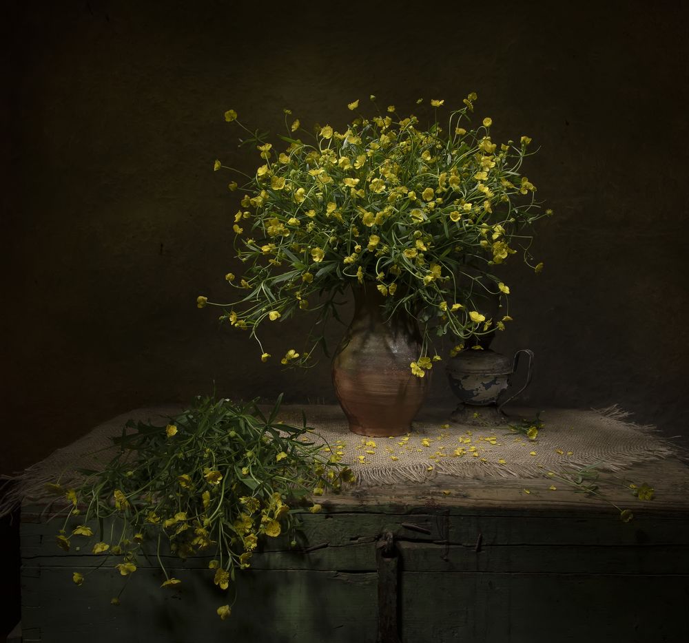 Photograph by 