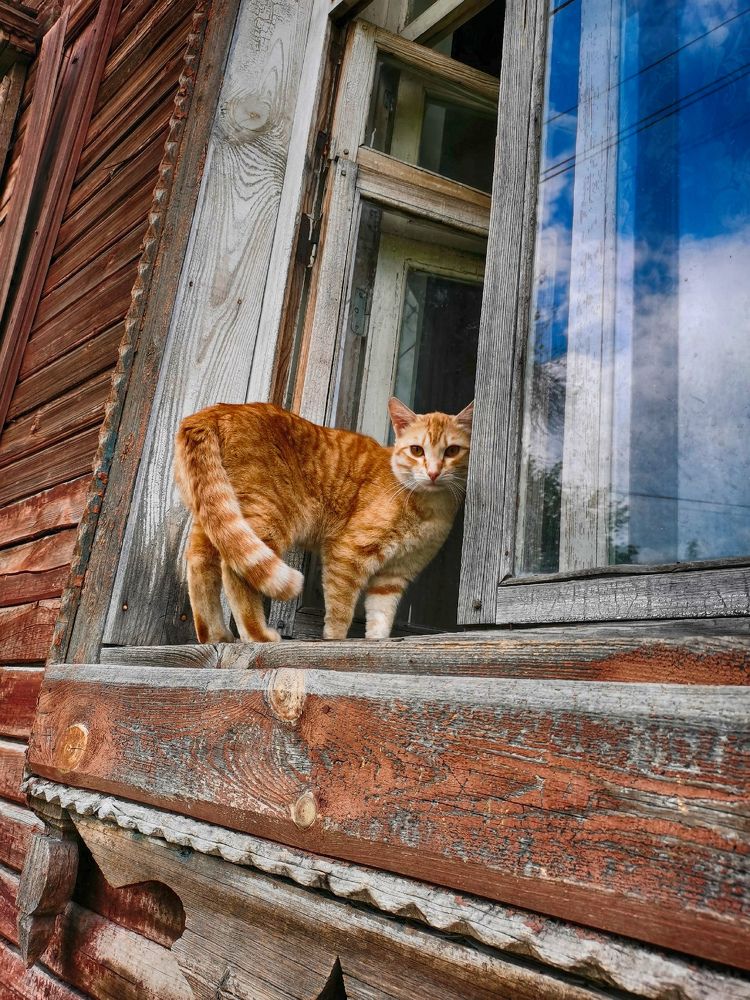 Фотография автора Валерий Цуркан