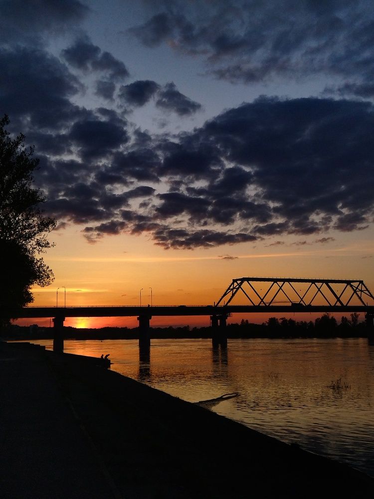 Photo #9121946