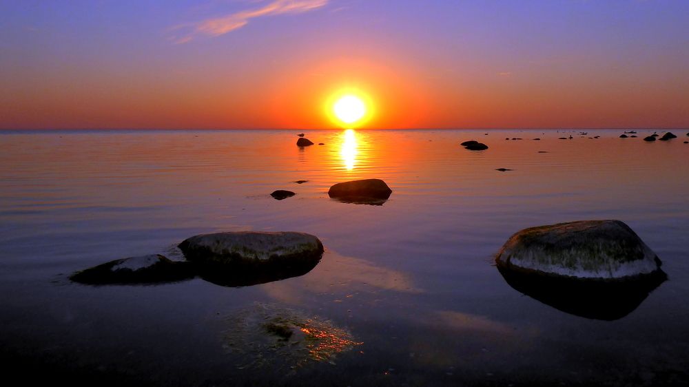 Photograph by Евгений Евдокимов