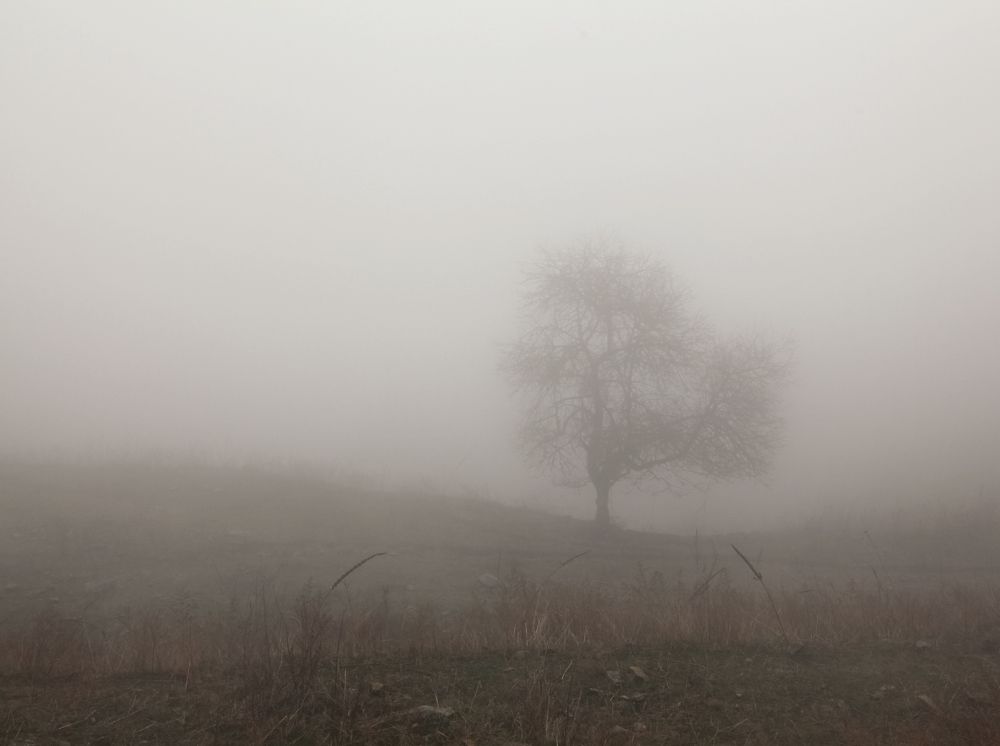 Фотография автора Ольга Виноградова