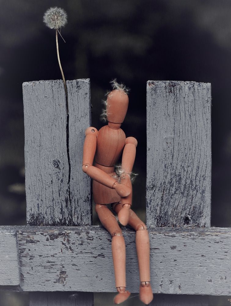 Photograph by Татьяна Исаева