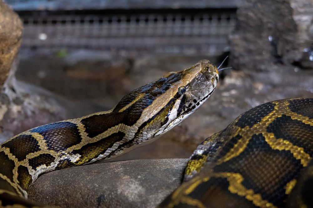 Фотография автора Viktoria Farkas