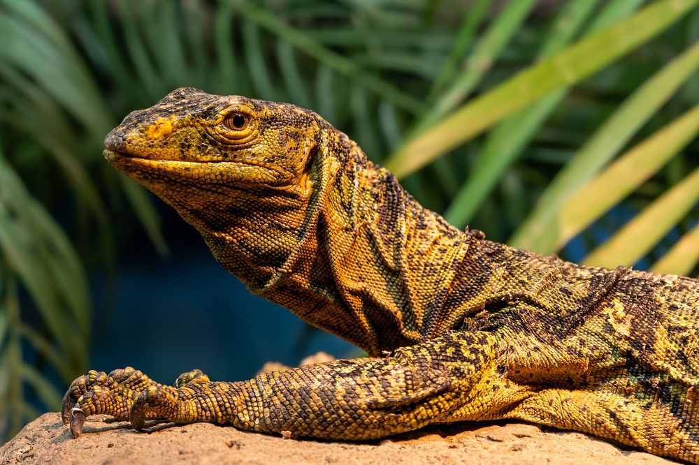 Фотография автора Viktoria Farkas