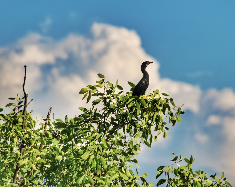 Photograph by Florence Rozario